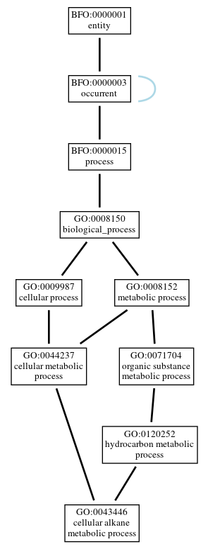 Graph of GO:0043446