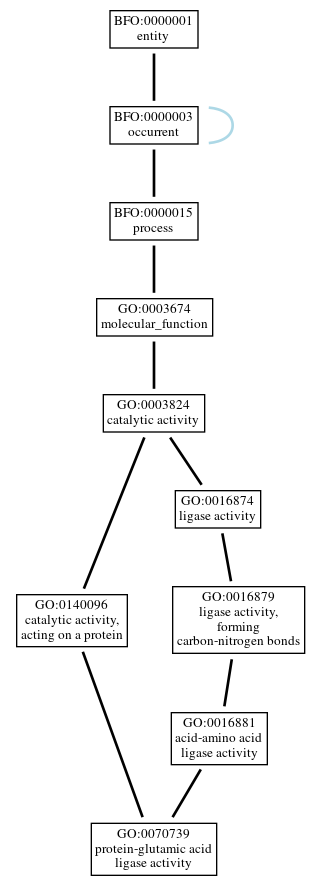 Graph of GO:0070739
