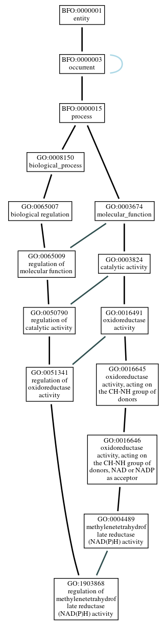 Graph of GO:1903868