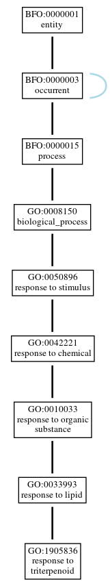 Graph of GO:1905836