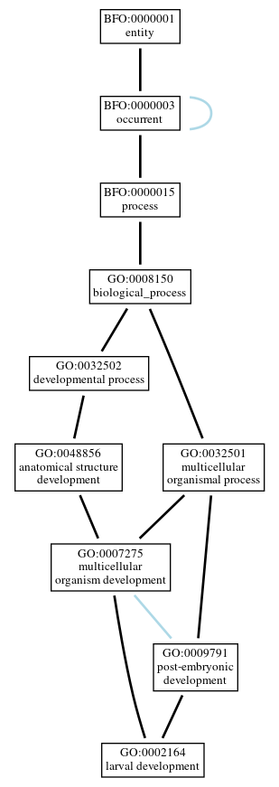 Graph of GO:0002164