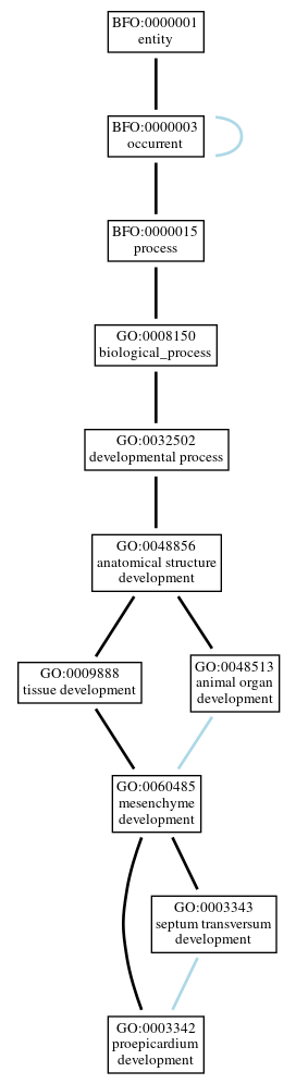 Graph of GO:0003342
