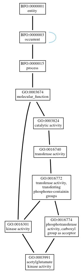 Graph of GO:0003991