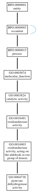 Graph of GO:0004738