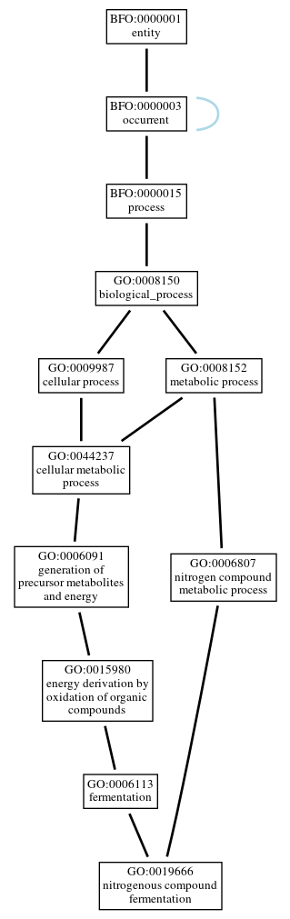 Graph of GO:0019666