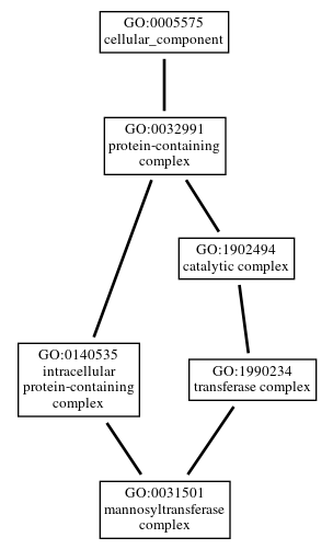 Graph of GO:0031501