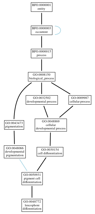 Graph of GO:0048772