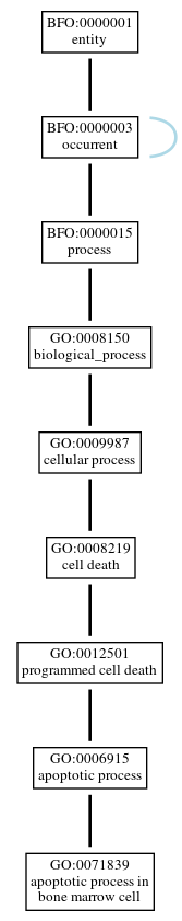 Graph of GO:0071839