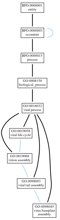 Graph of GO:0098045