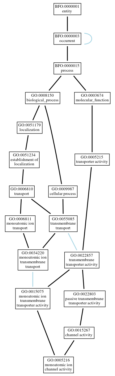 Graph of GO:0005216