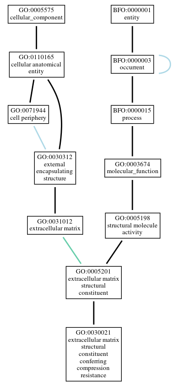 Graph of GO:0030021