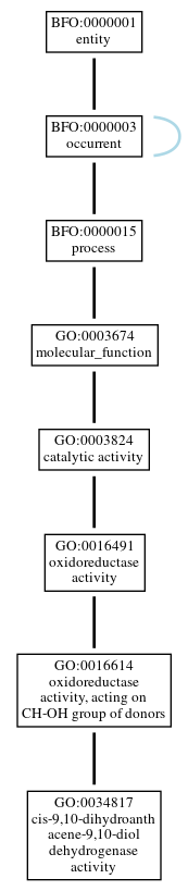 Graph of GO:0034817