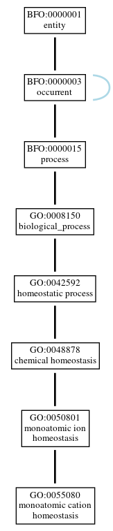 Graph of GO:0055080