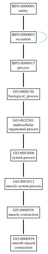 Graph of GO:0006939