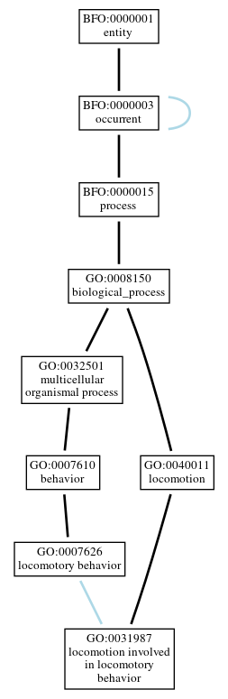 Graph of GO:0031987