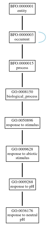 Graph of GO:0036176