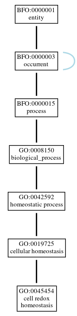 Graph of GO:0045454