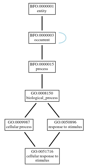 Graph of GO:0051716