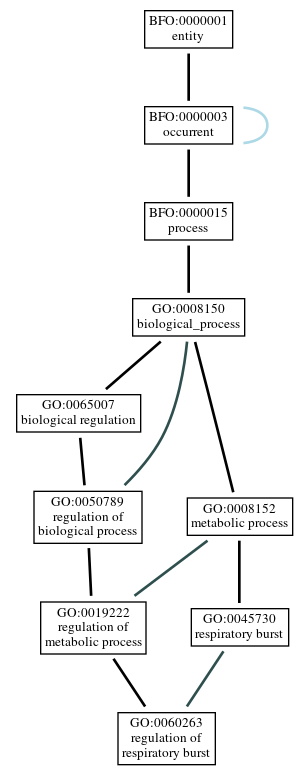 Graph of GO:0060263