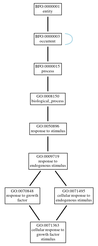 Graph of GO:0071363