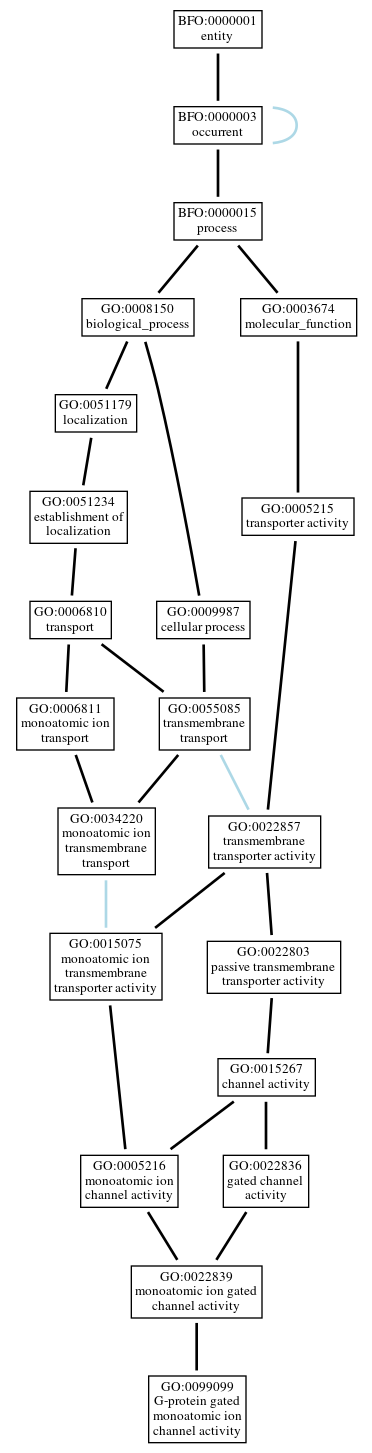 Graph of GO:0099099