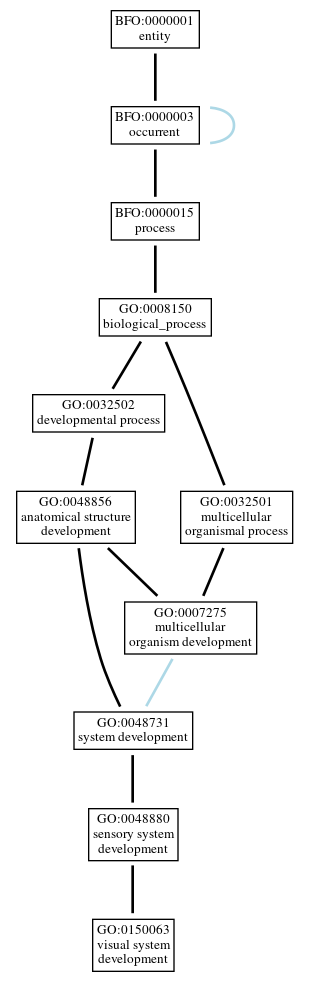 Graph of GO:0150063