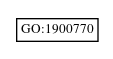 Graph of GO:1900770