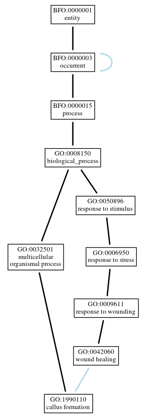Graph of GO:1990110