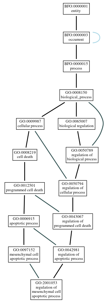 Graph of GO:2001053