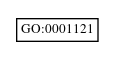 Graph of GO:0001121