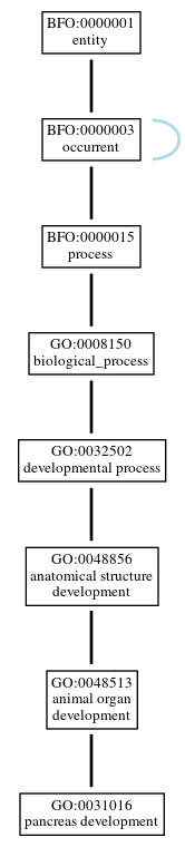 Graph of GO:0031016