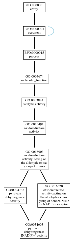 Graph of GO:0034603