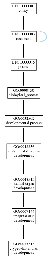 Graph of GO:0035213