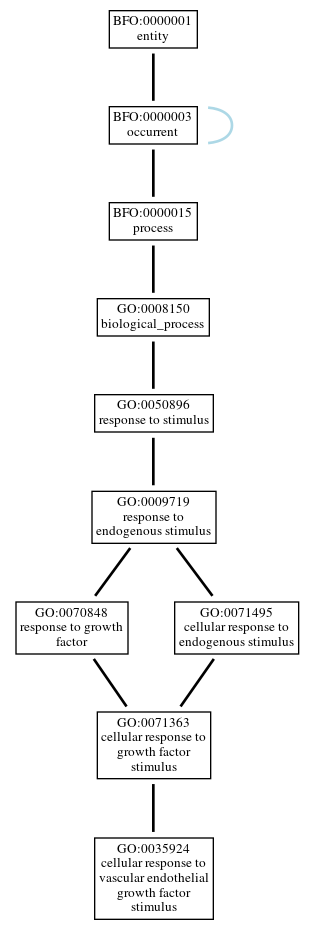 Graph of GO:0035924