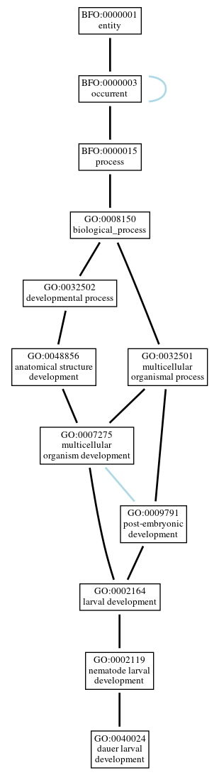 Graph of GO:0040024