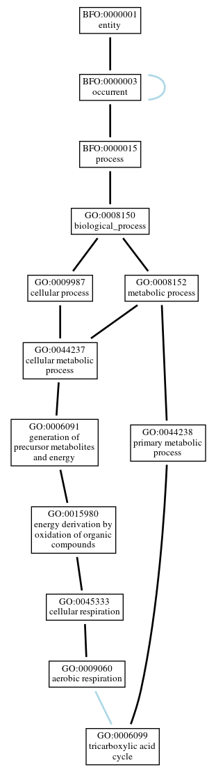 Graph of GO:0006099