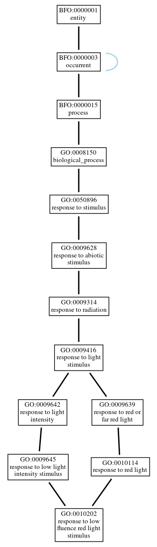 Graph of GO:0010202