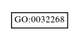Graph of GO:0032268