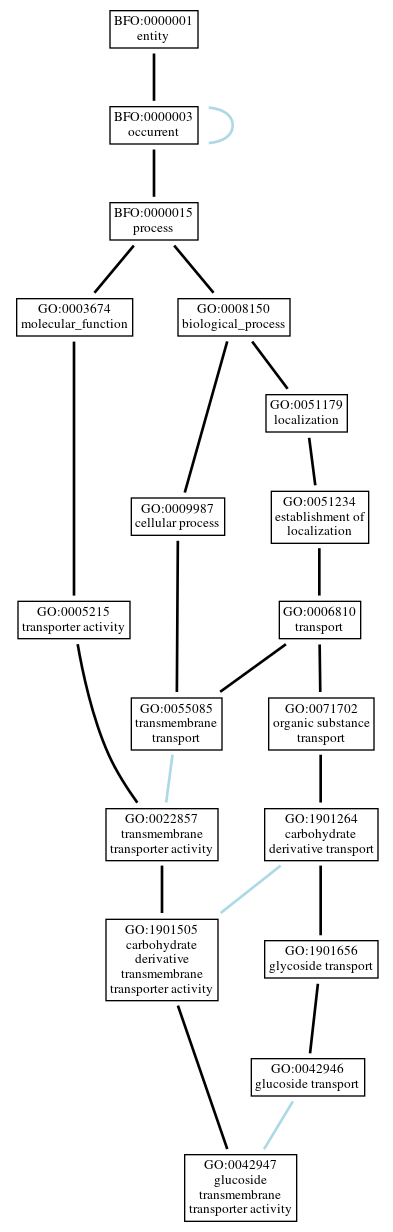 Graph of GO:0042947