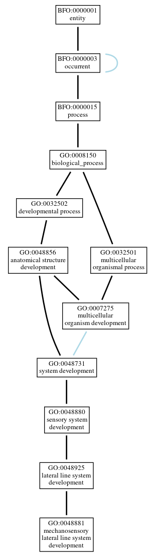 Graph of GO:0048881