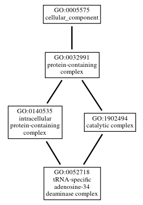 Graph of GO:0052718