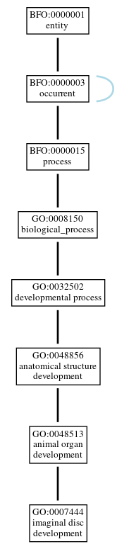Graph of GO:0007444