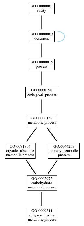 Graph of GO:0009311