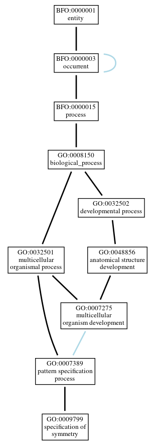 Graph of GO:0009799