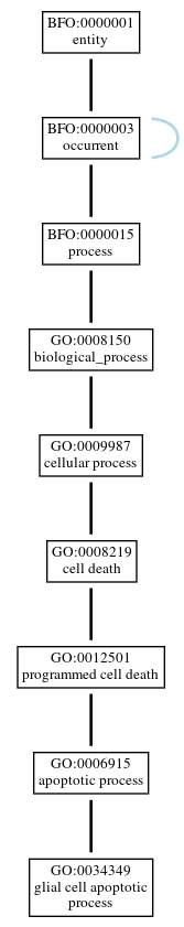 Graph of GO:0034349