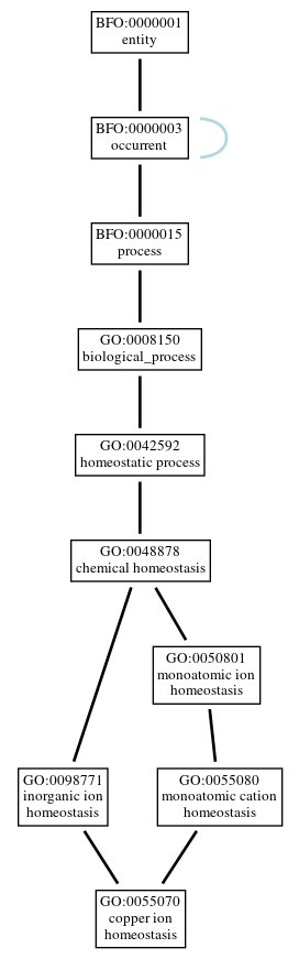 Graph of GO:0055070