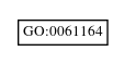 Graph of GO:0061164