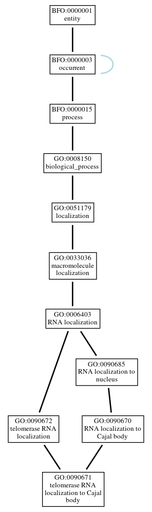 Graph of GO:0090671