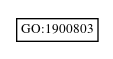 Graph of GO:1900803