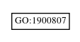 Graph of GO:1900807
